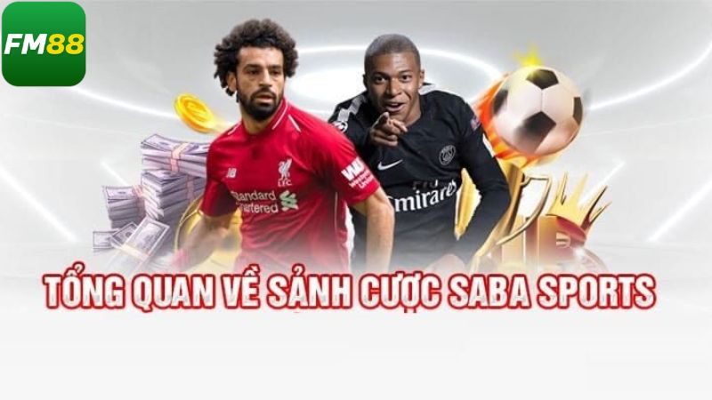 Sảnh Saba Sports Fm88 - Chinh Phục Sân Chơi Giải Trí Đỉnh Cao 2 Khái quát chung nhất về sân chơi thể thao