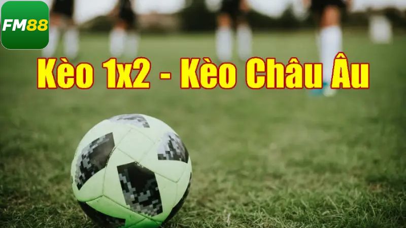 Kèo Nhà Cái Fm88 - Hướng Dẫn Cách Đọc Cơ Bản Cho Tân Thủ 3 Hướng dẫn cách đọc kèo châu Âu dễ hiểu cho tân thủ